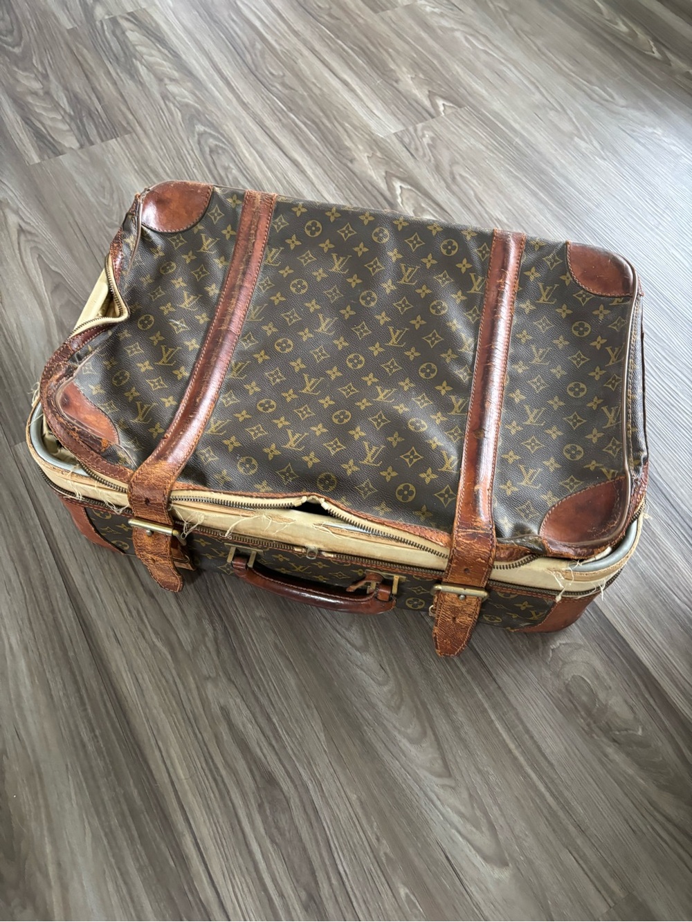 Louis Vuitton Monogram Canvas Travel Bag with Vachetta Trim
